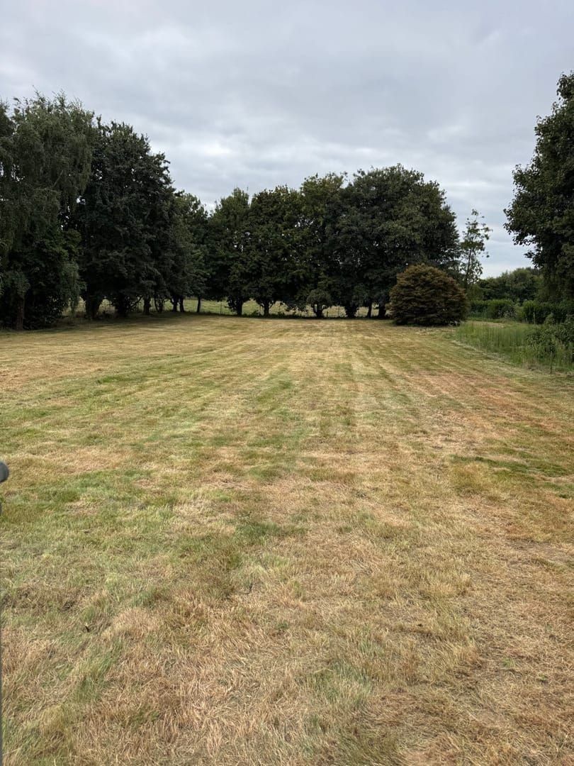 Évacuation d'encombrants